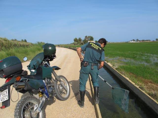 Galería